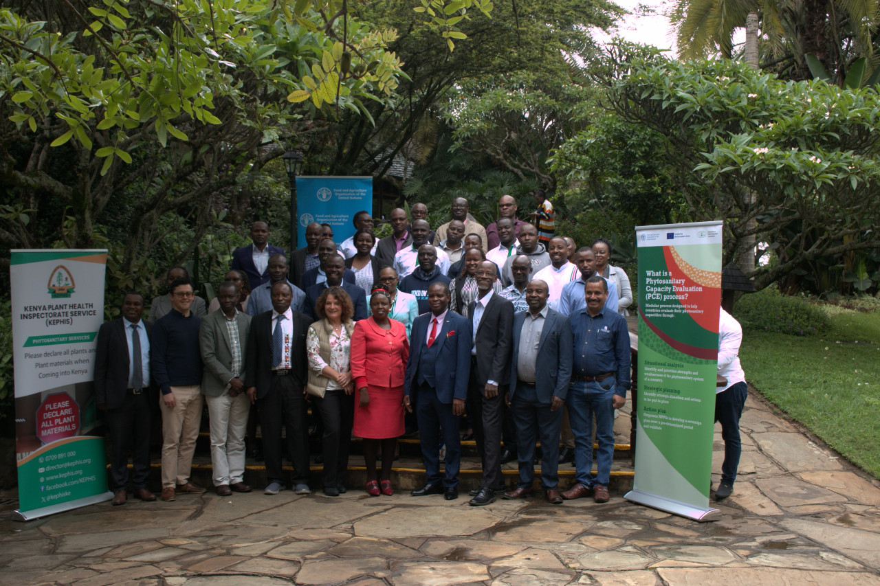 Phytosanitary Capacity Evaluation Tool Validation Workshop Held To Assist KEPHIS With Phytosanitary Systems