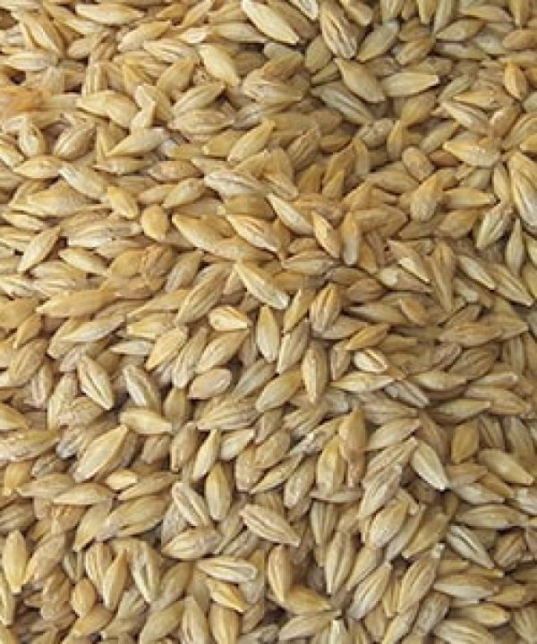 Seed Import