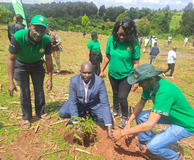 KEPHIS Donates 2000 Hass Avocado Seedlings at the Kaptagat Tree Planting Event