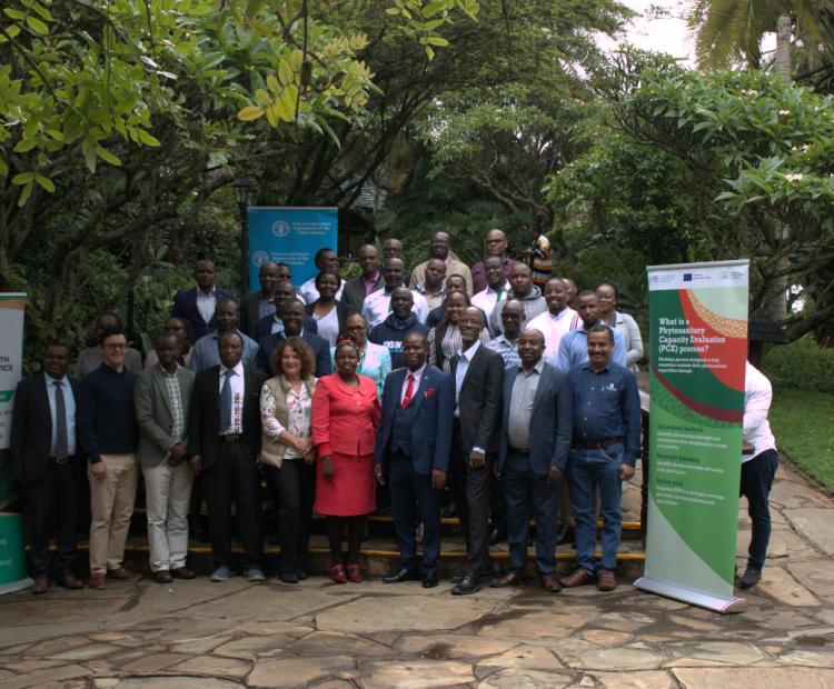 Phytosanitary Capacity Evaluation Tool Validation Workshop Held To Assist KEPHIS With Phytosanitary Systems