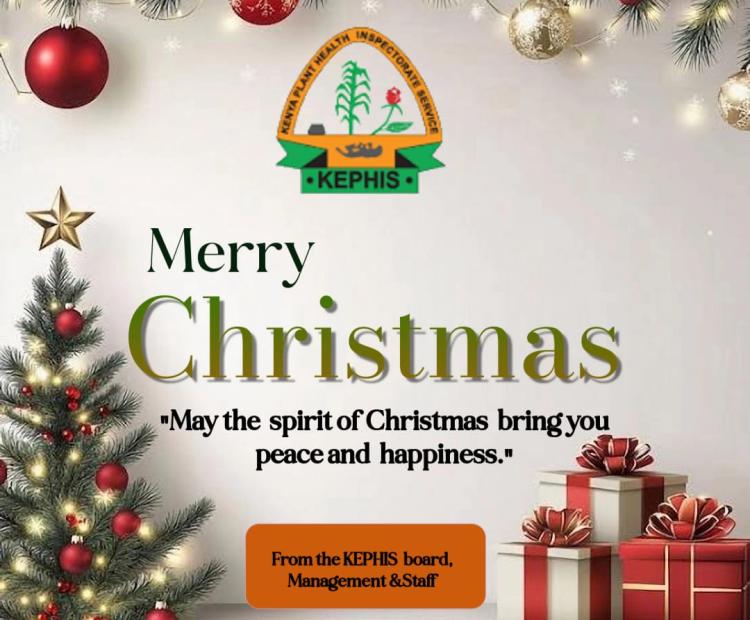 Merry Christmas 2024