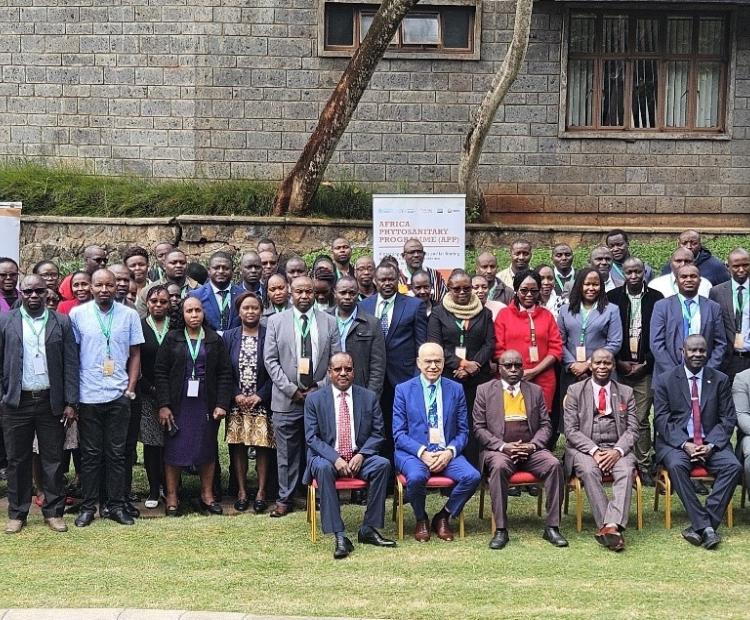 Transforming pest surveillance: Africa Phytosanitary Programme leverages geospatial technology