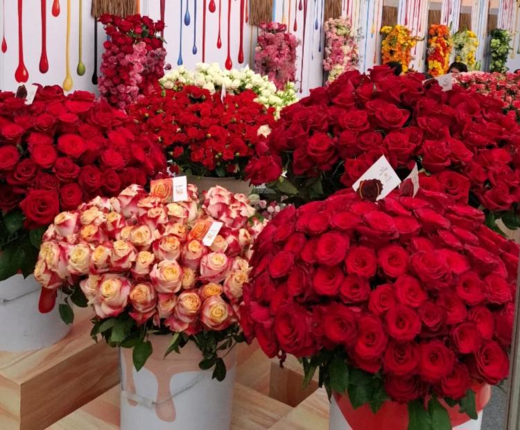 Kenya Takes Bold Steps to Address European Union (EU ) Regulations on Rose Exports