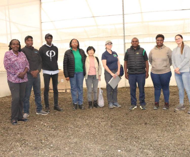 Kenya Strengthens Compliance with USDA-APHIS for Pelargonium Exports